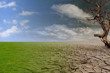 Danni all&#39;agricoltura da siccit&#224; eccezionale